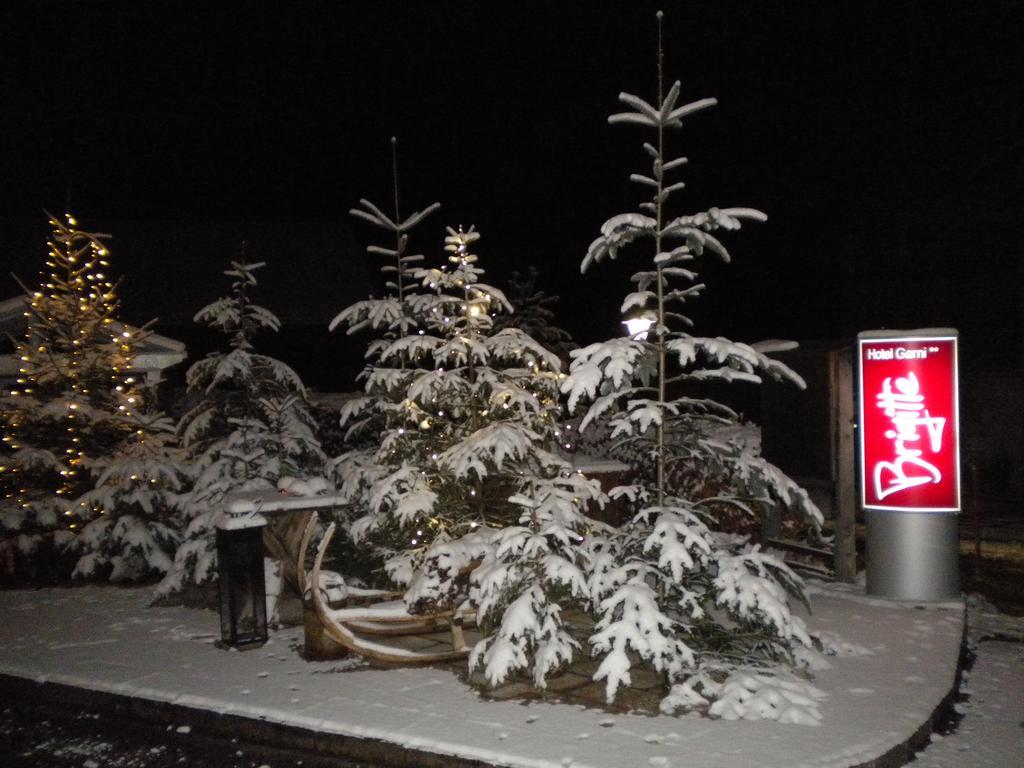 Hotel Garni Brigitte Bürserberg Екстериор снимка