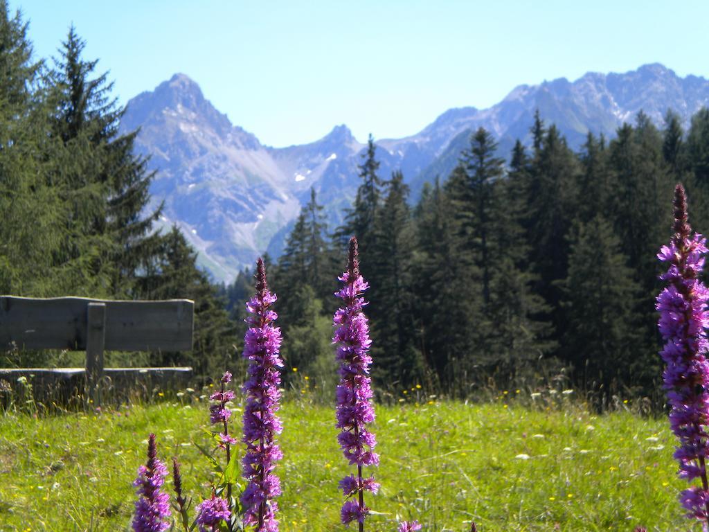 Hotel Garni Brigitte Bürserberg Стая снимка